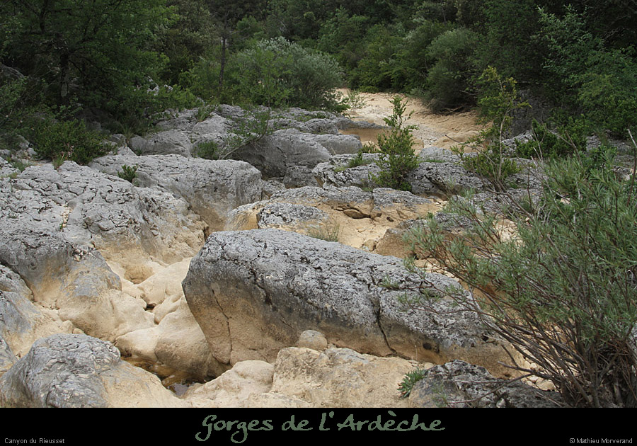 20110608_rieussetsup