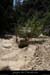 20100821_rieussetp01e