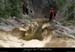 20110608_rieusset13