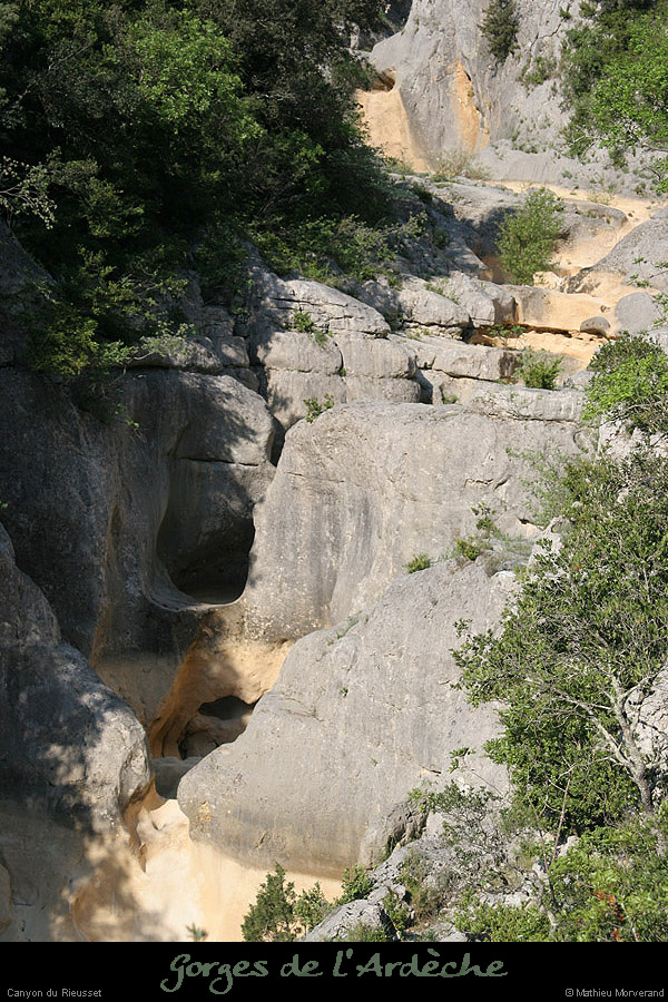 20070428_rieusset3