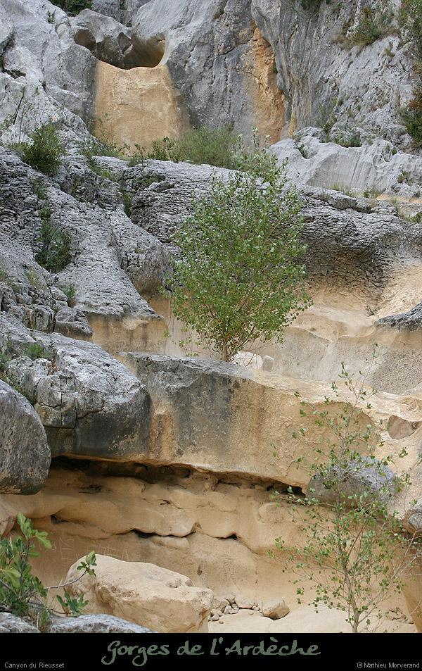 20050822_rieussetp07