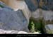 20010520_rieussetp08_1