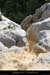 20050822_rieussetp08_1