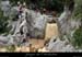 20110608_rieusset04