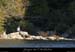 20081011_rapidecharlemagnerg