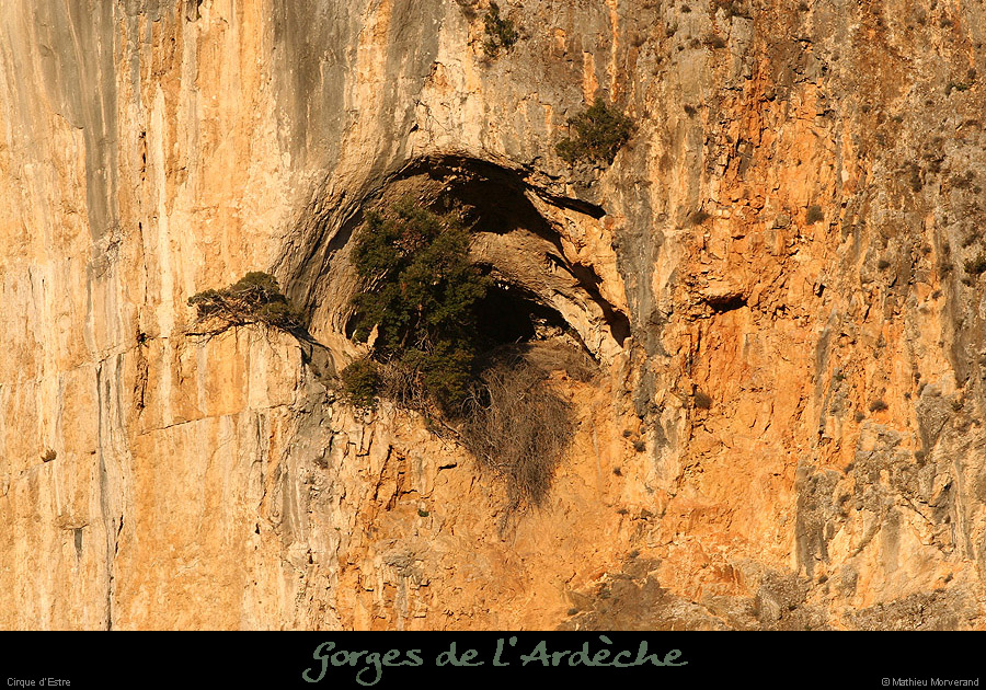 20041229_cirqueestre