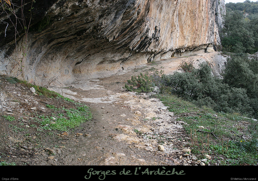 20061119_cirqueestrevire7