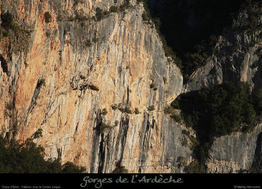 20130103_cirqueestre_baumevalloncombelongue2