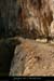 20130103_cirquedestre_vire3