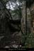 20130120_cirquedestre_valloncombe1