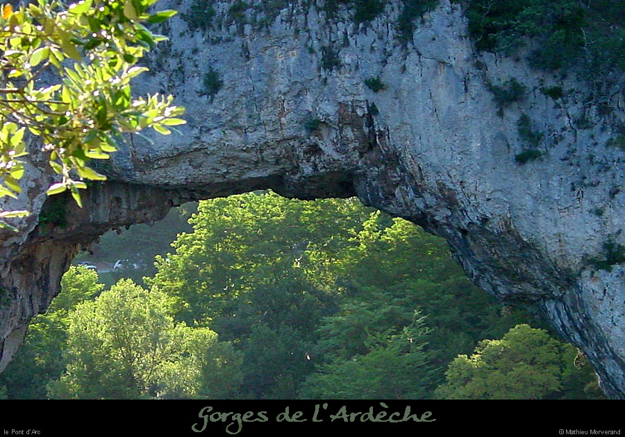 20010701_ptarcaval
