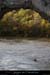 20081103_ptdarc1