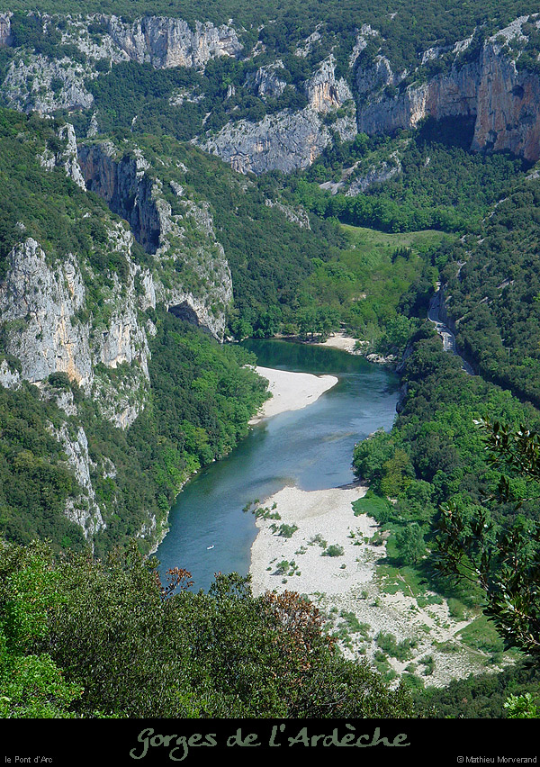 20040510_ptarcavrd