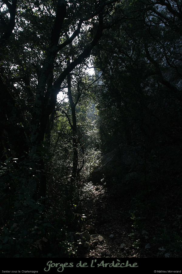 20110209_viresupavpa_sentier