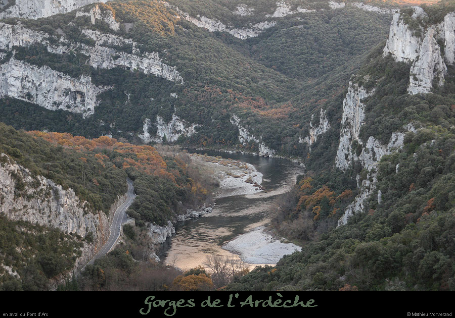 20071125_avptdarc