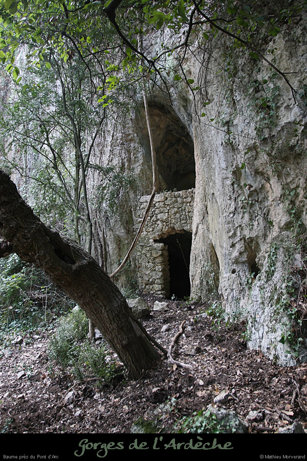 20110209_avpard_baumeamenagee1