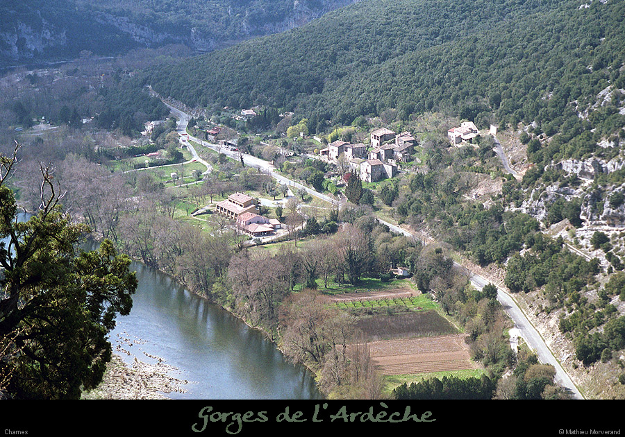20030329_chames