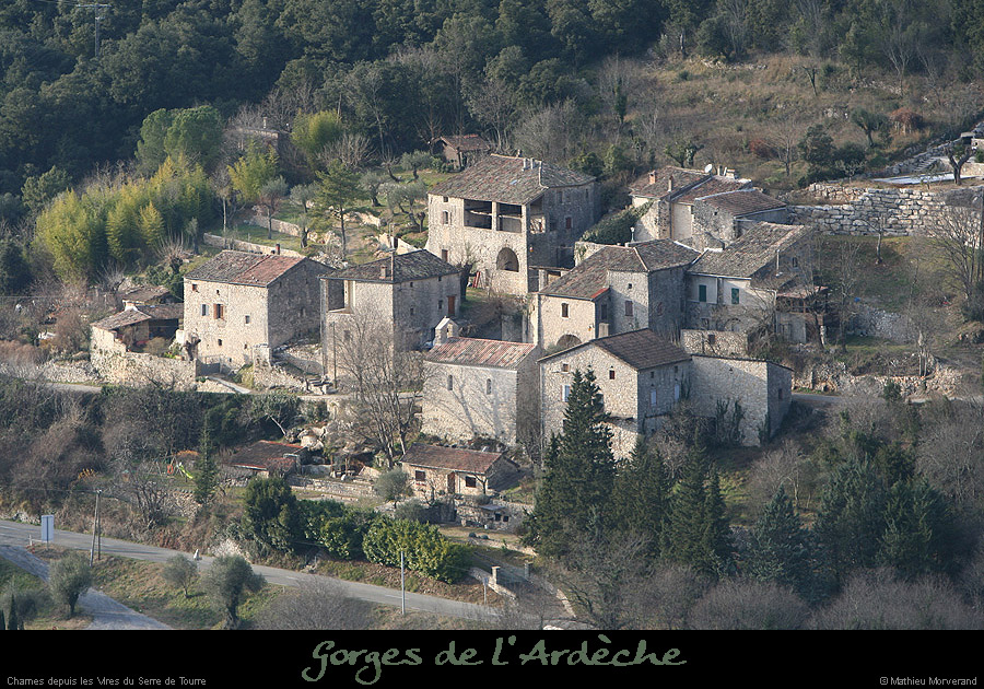 20081228_chamesdebaumeserredetourre