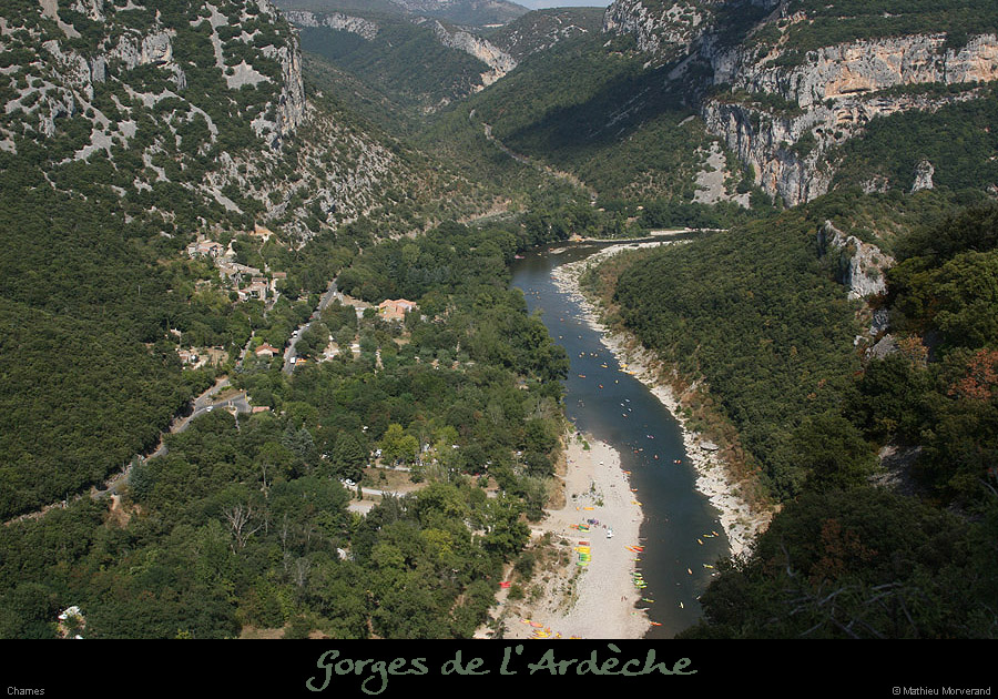 20090815_chamesavdebelvpasdumousse