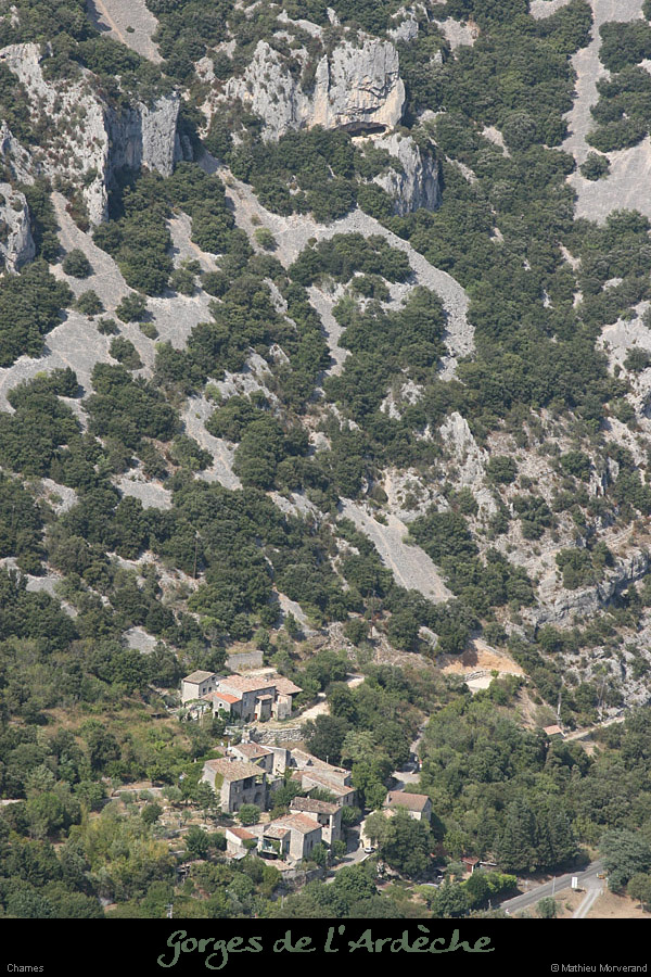 20090815_chamesdebelvpasdumousse