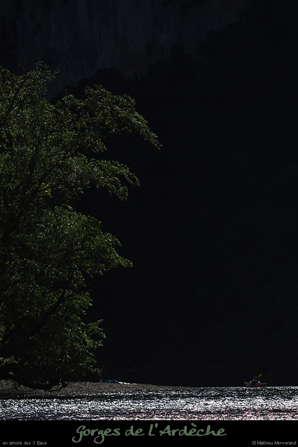 20110413_amtroiseaux