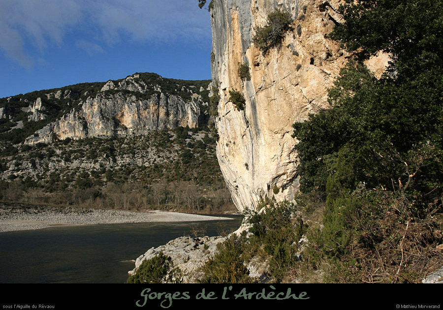 20081219_revaouaval2