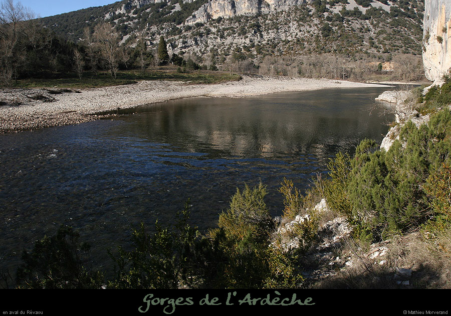 20100203_rapiderevaouav