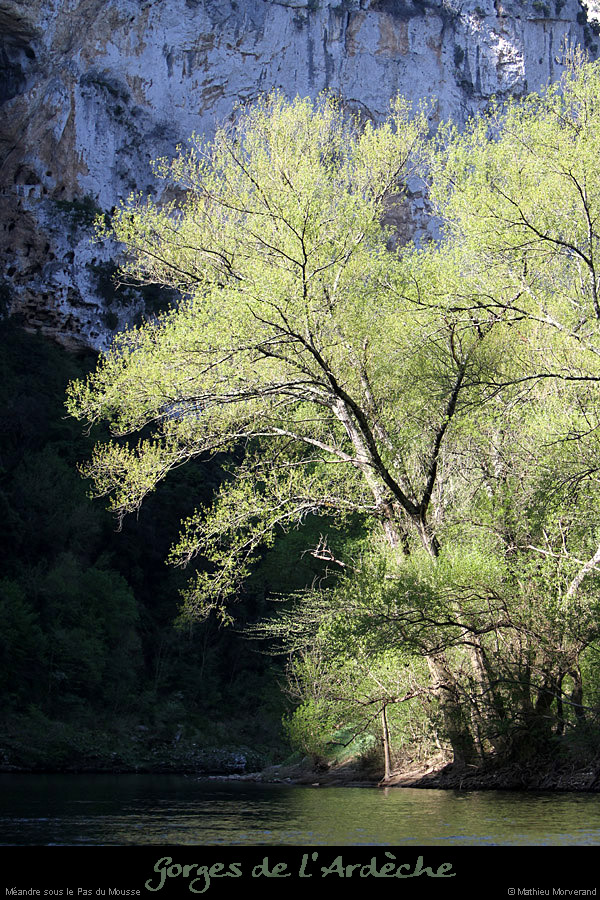 20110410_meandrerevaourd1