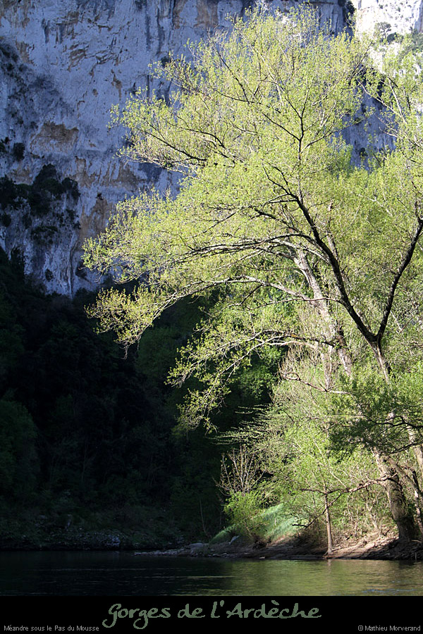 20110410_meandrerevaourd2