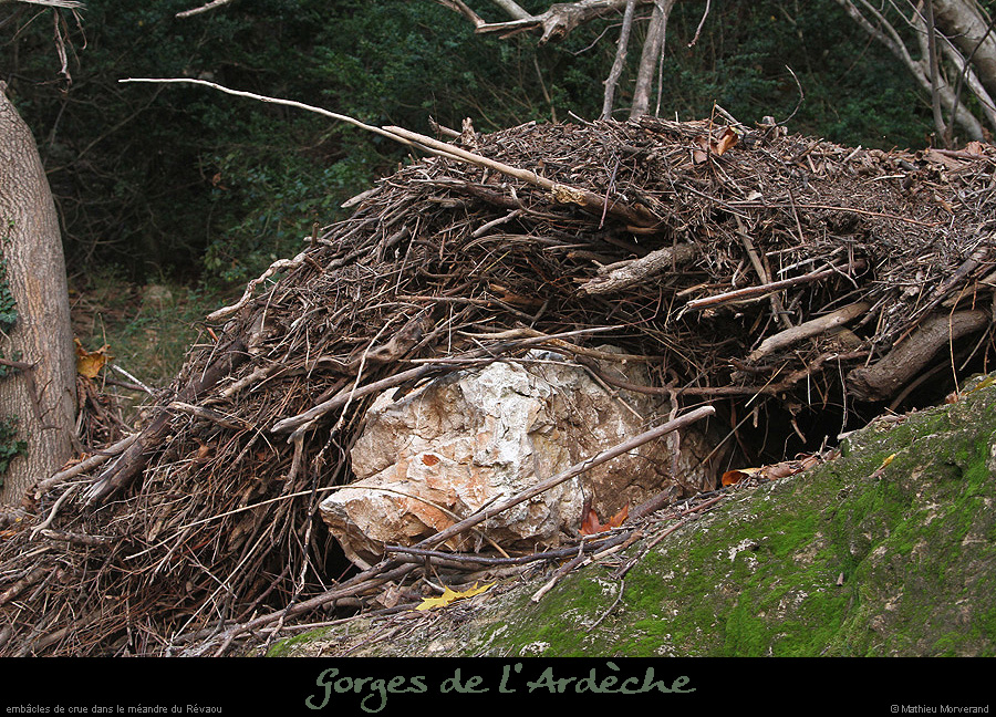 20151115_gorges8