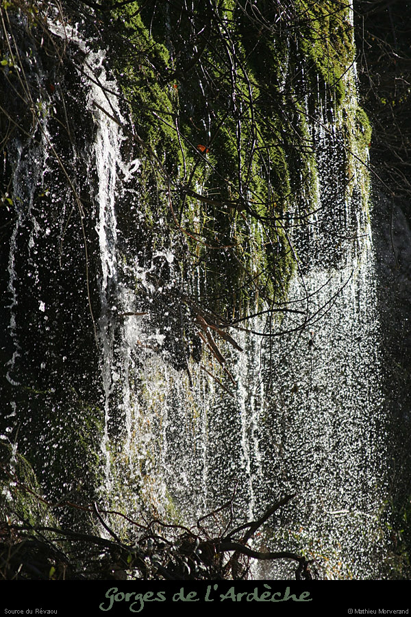 20081123_revaou_source07