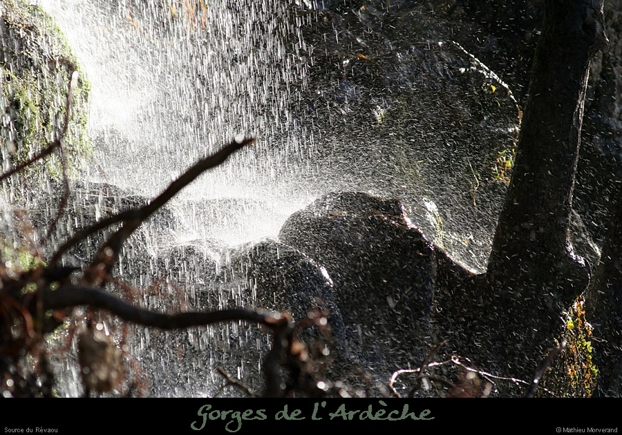 20081123_revaou_source13