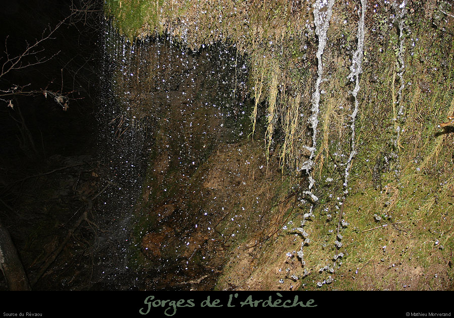 20081201_01