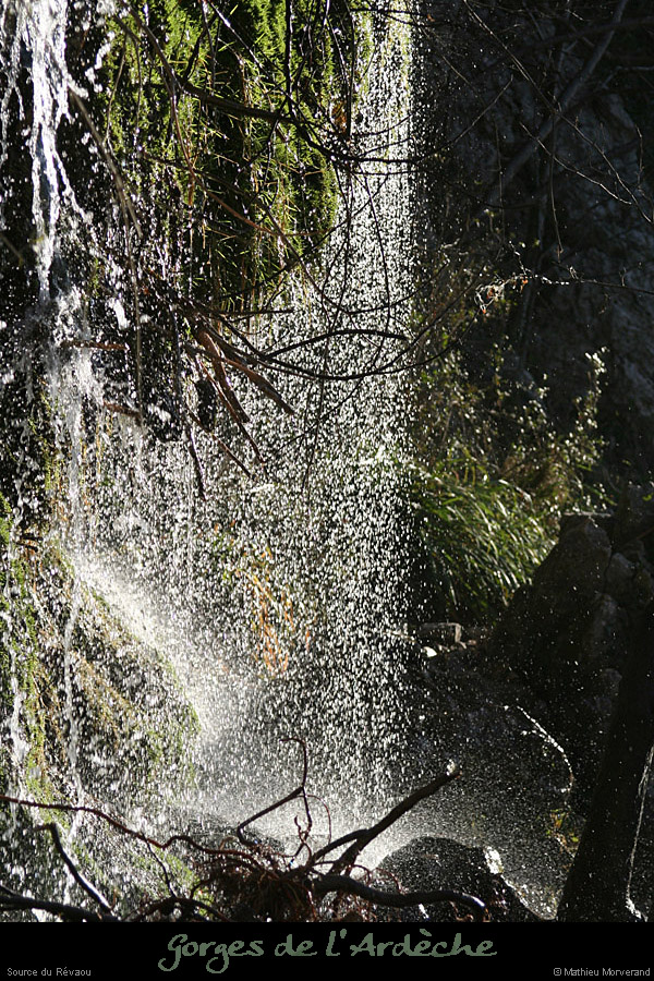 20081201_07