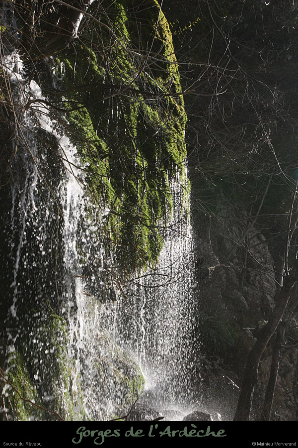 20081219_revaousrc08