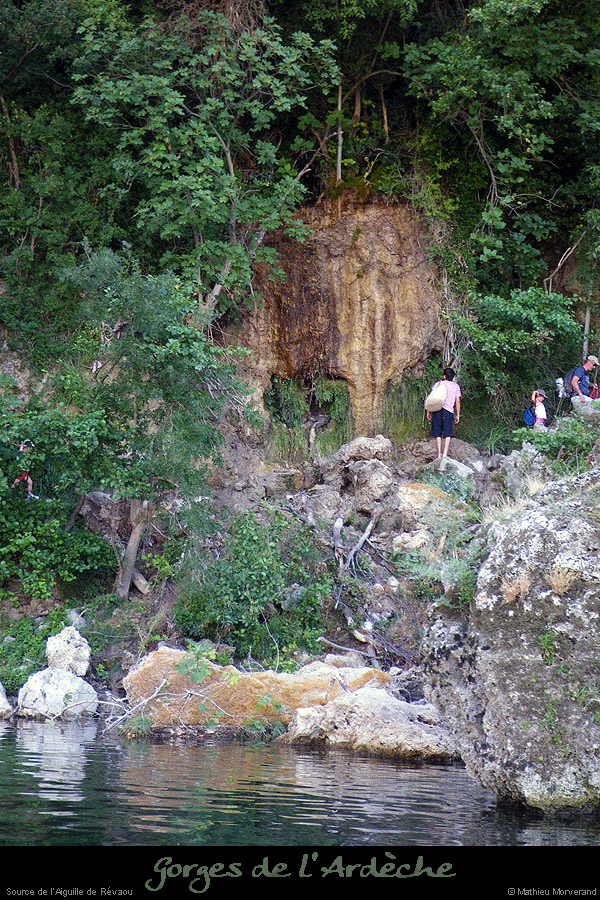 20090805_sourceaiguille
