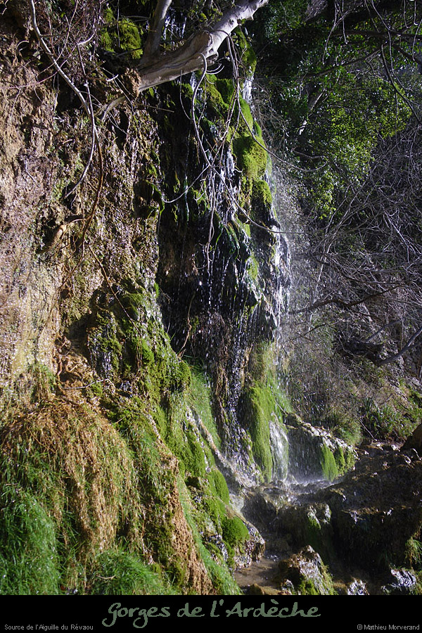 20110227_sourcedurevaou1