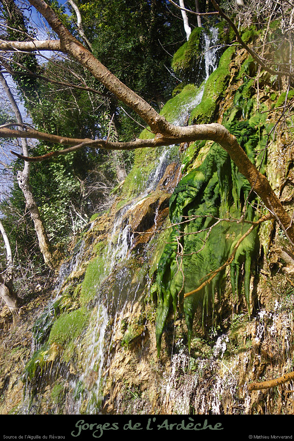 20110227_sourcedurevaou5