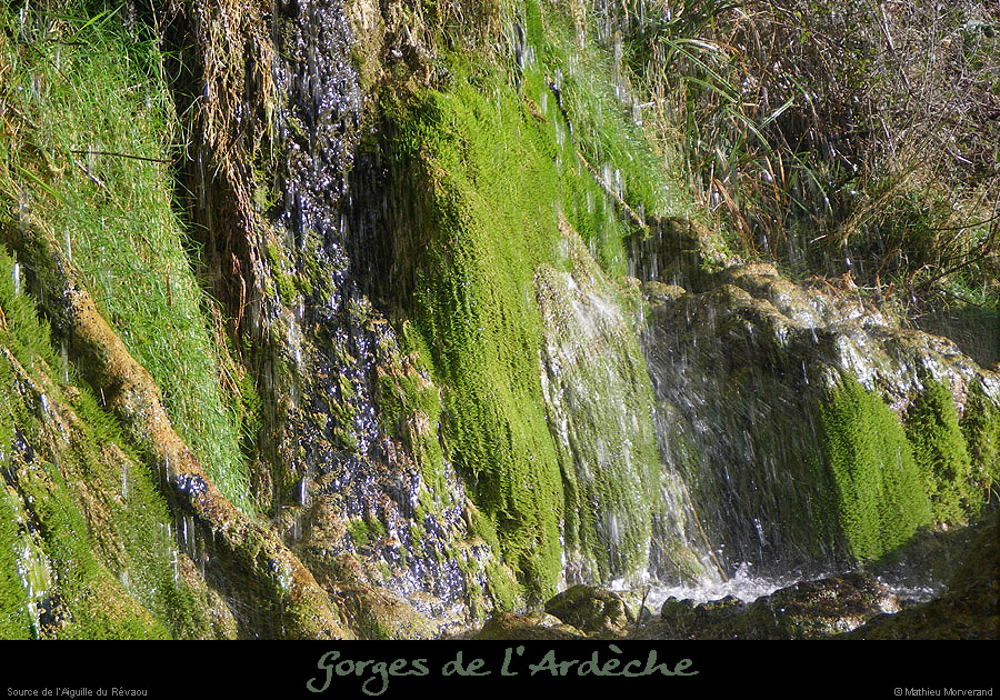 20110227_sourcedurevaou7