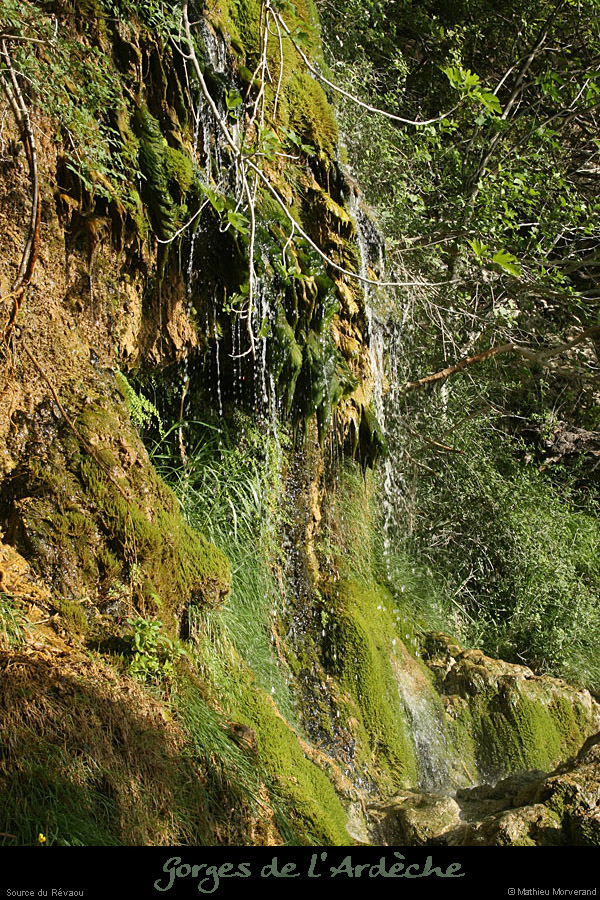 20110424_sourcerevaou5