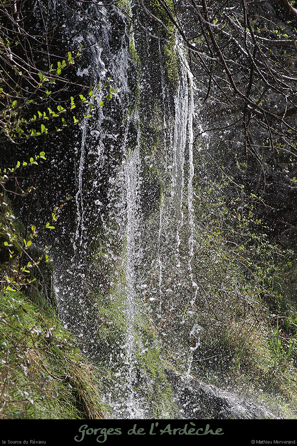 20130407_sourcerevaouparlenord02