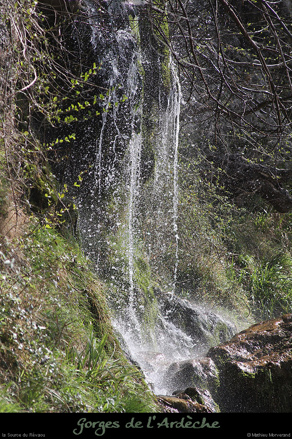 20130407_sourcerevaouparlenord03
