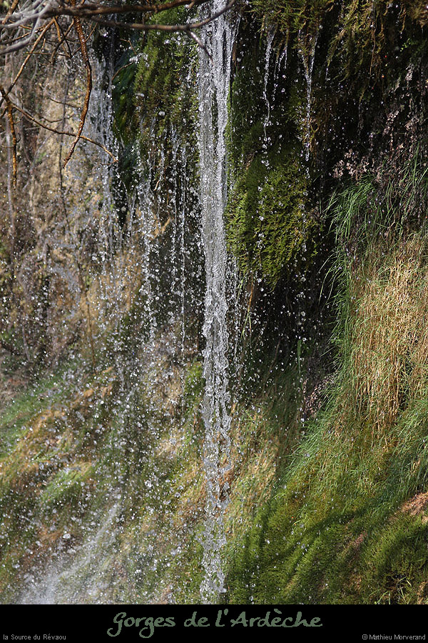 20130407_sourcerevaouparlesud02