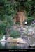 20090805_sourceaiguille
