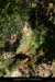 20120916_sourcerevaou