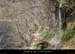 20130407_sourcerevaouparlesud03