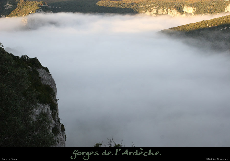 20101113_serredetourre3