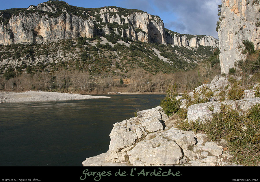 20081219_revaouam2