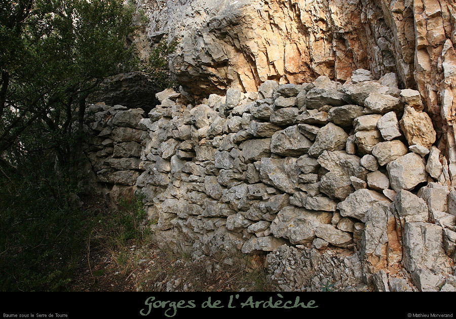 20081228_baumesserredetourre2_01