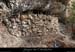 20081228_baumesserredetourre1_05